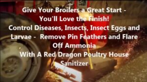 Poultry House Flame Sanitation